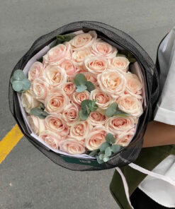 Hồng mơ