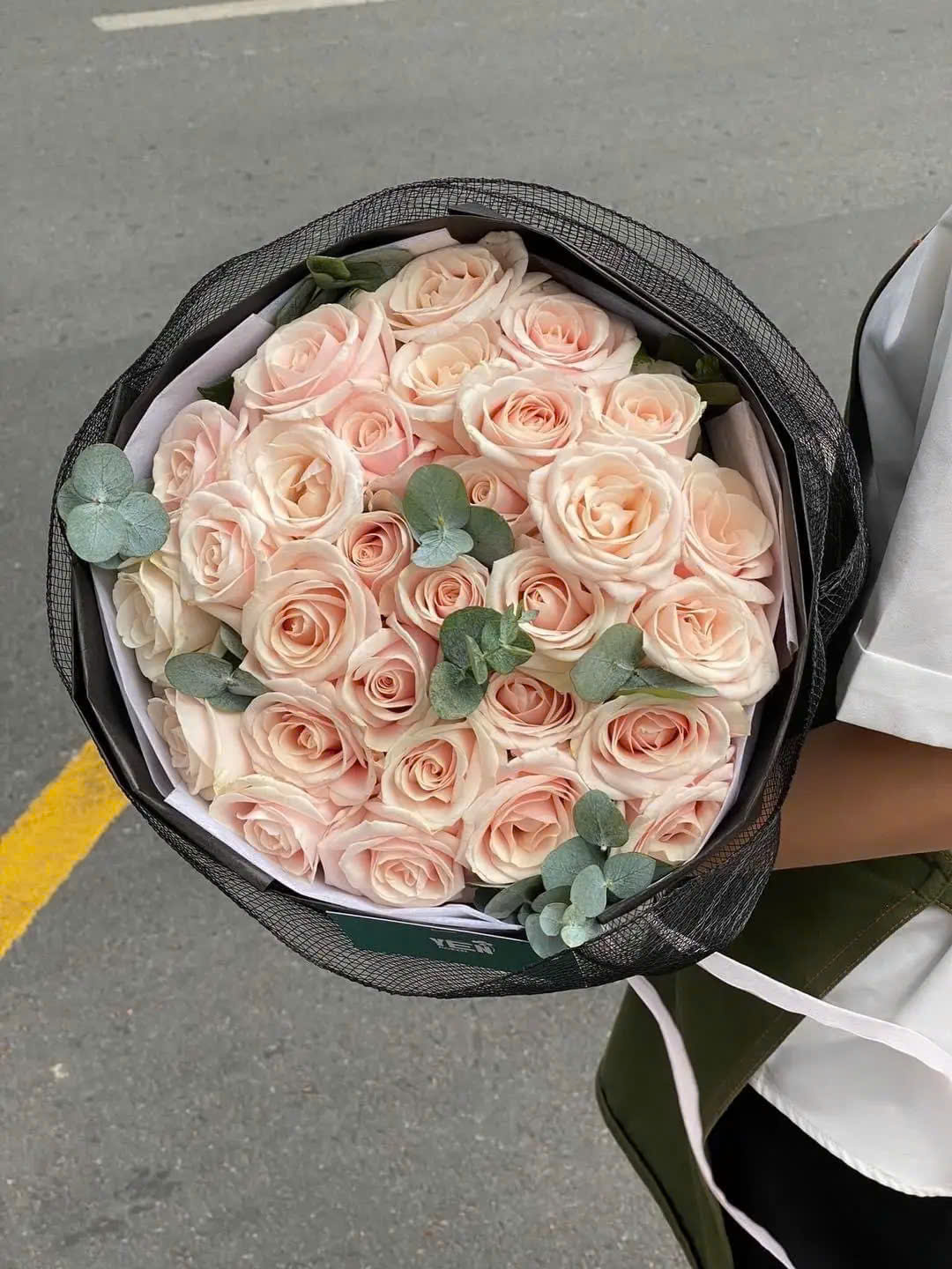 Hồng mơ