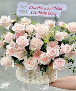 Sắc Màu Dịu Êm 🌸