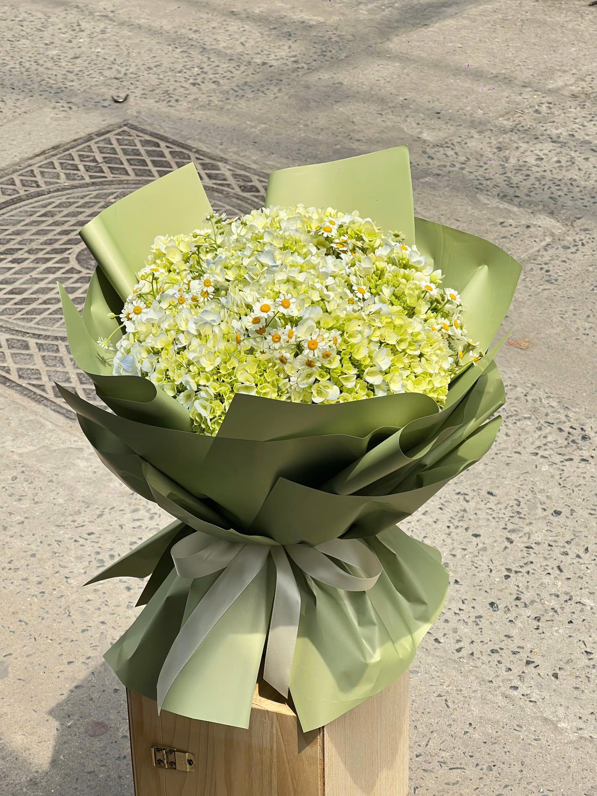 Sương Mai Tinh Khôi 🌿🌼