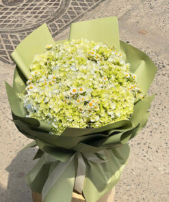 Sương Mai Tinh Khôi 🌿🌼