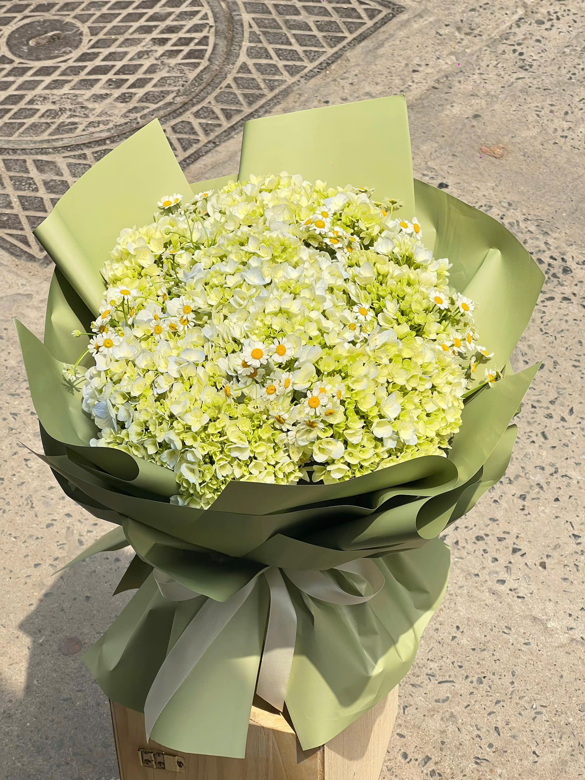 Sương Mai Tinh Khôi 🌿🌼