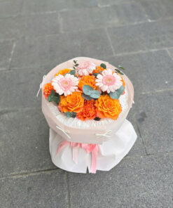 Alternative view of Nắng Mai Hồng ☀️