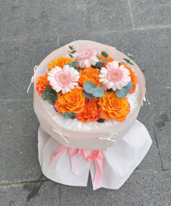 Nắng Mai Hồng ☀️