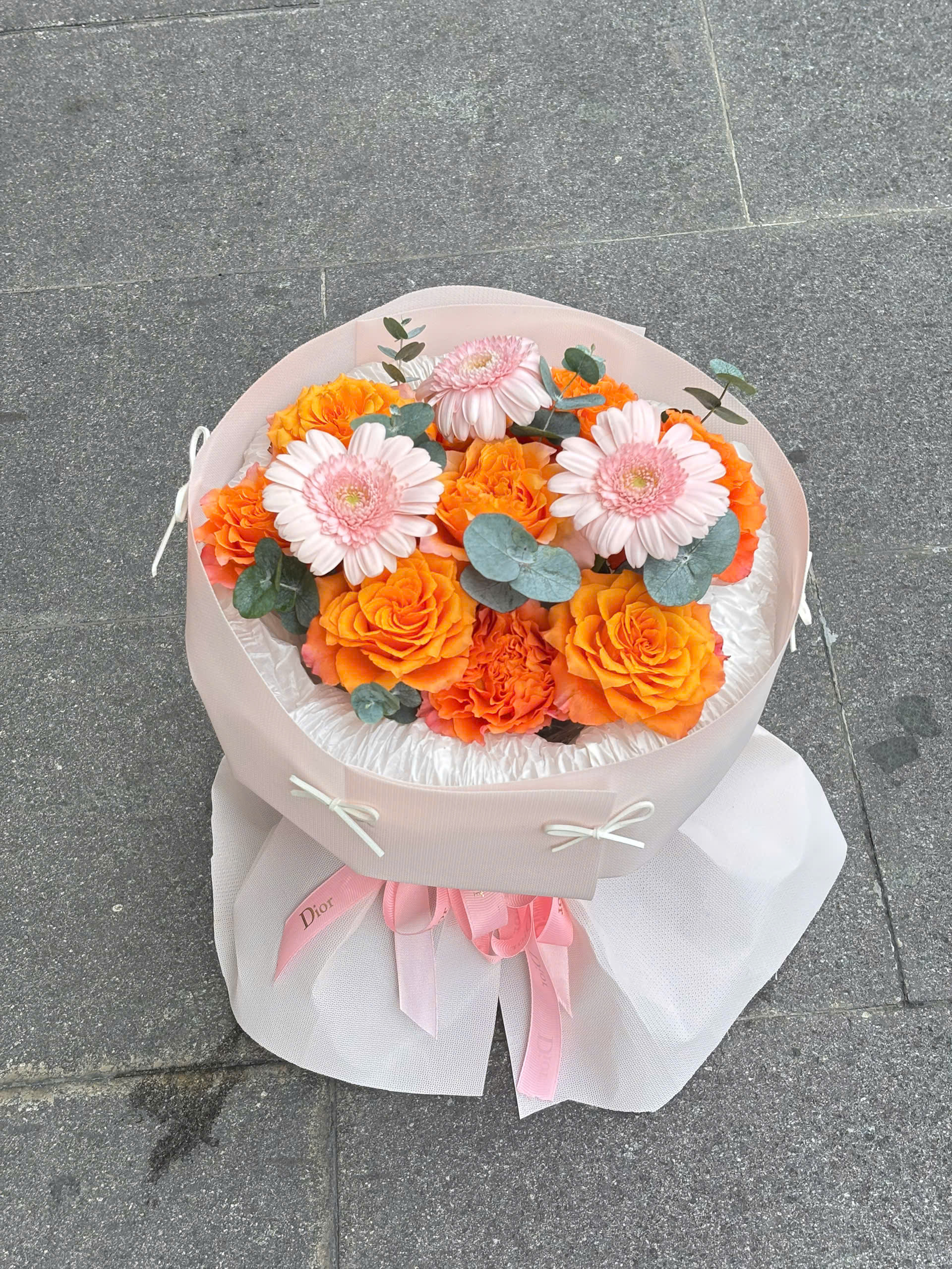 Nắng Mai Hồng ☀️