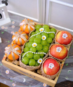 HỘP QUÀ TRÁI CÂY🍎