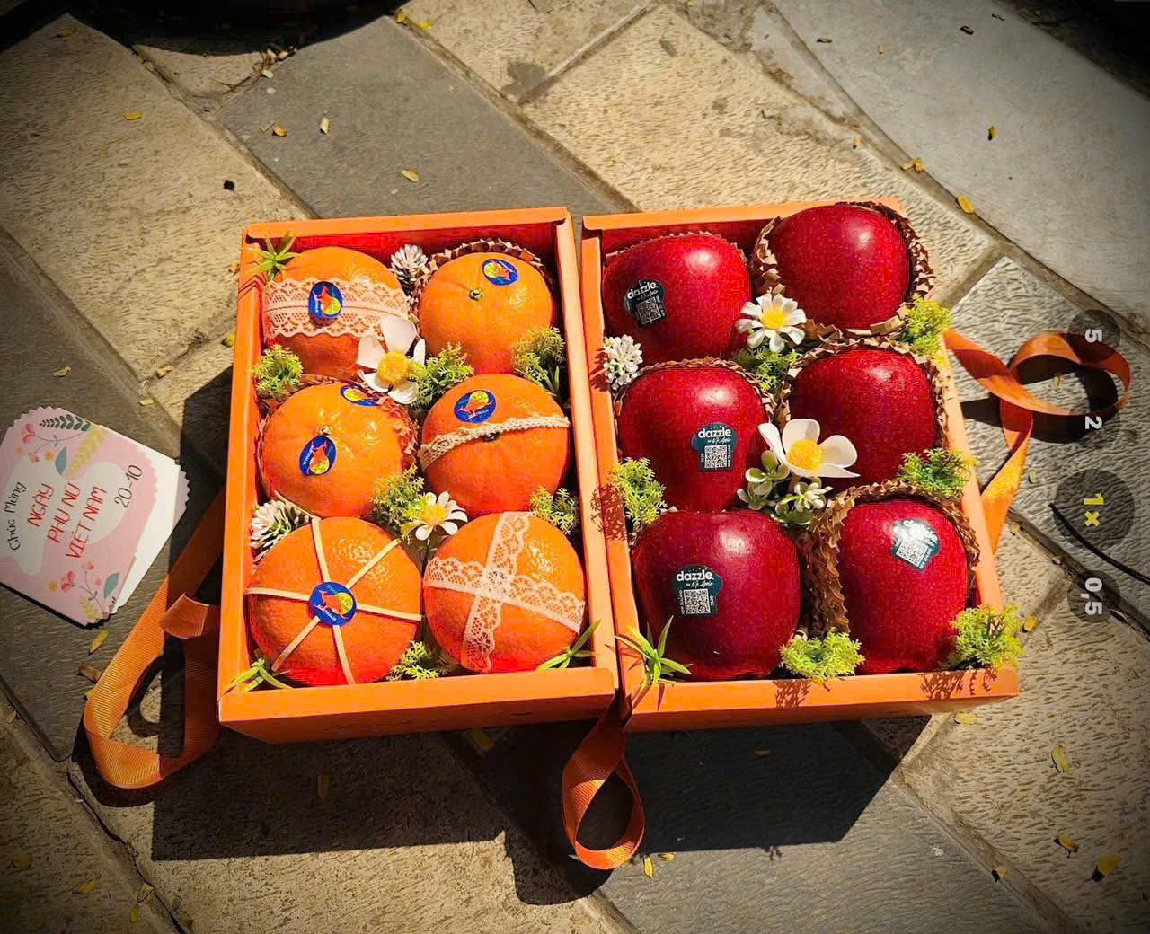 🎁 HỘP QUÀ TRÁI CÂY NHẬP KHẨU